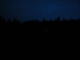 21 : 42