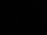 02 : 02