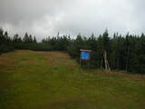 15 : 50