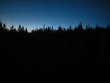 03 : 50