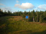 19 : 58