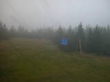 13 : 30