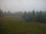 13 : 50