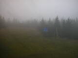 16 : 34