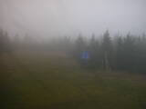 16 : 38