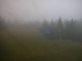 17 : 42
