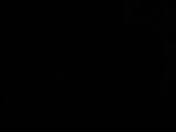 00 : 46