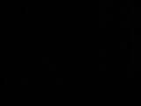 01 : 54