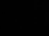 02 : 02