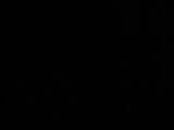 02 : 30