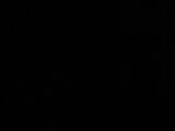 02 : 34