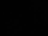 03 : 30