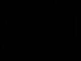 03 : 46