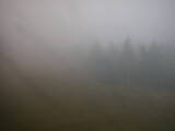 08 : 46