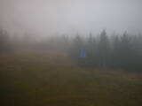 13 : 50
