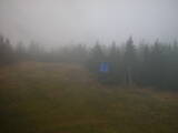 14 : 50