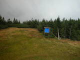 16 : 54