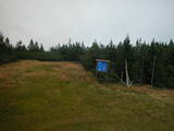 17 : 46