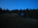 20 : 50