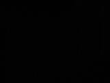 03 : 46