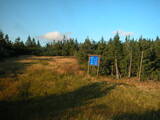 19 : 10