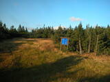 19 : 14