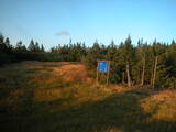 19 : 26