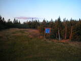19 : 50
