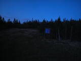 20 : 50