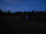 20 : 50