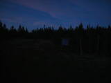 20 : 54