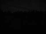21 : 14
