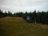 16 : 50