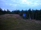 19 : 54