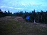20 : 06