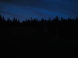 20 : 50
