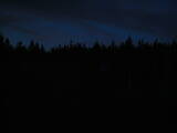 20 : 54