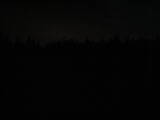 21 : 14