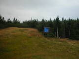 16 : 34