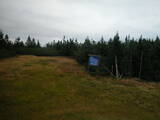 17 : 50