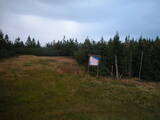 19 : 10