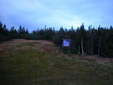 19 : 46
