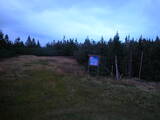 19 : 50