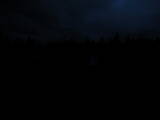 20 : 30