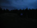 20 : 38