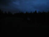 20 : 42
