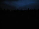 20 : 50