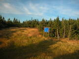 19 : 10