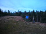 20 : 06