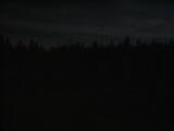 21 : 14